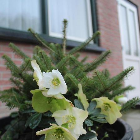 Landzicht Apartment Woubrugge Ngoại thất bức ảnh